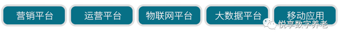悅享數字 | 數字驅動健康 智慧賦能養(yǎng)老(圖3)