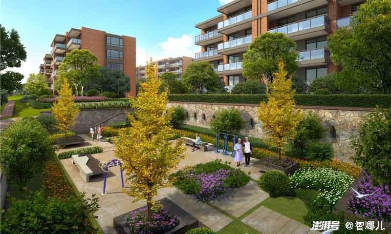 智慧養(yǎng)老怎么“養(yǎng)”？不要讓科技成為老年群體的束縛(圖2)